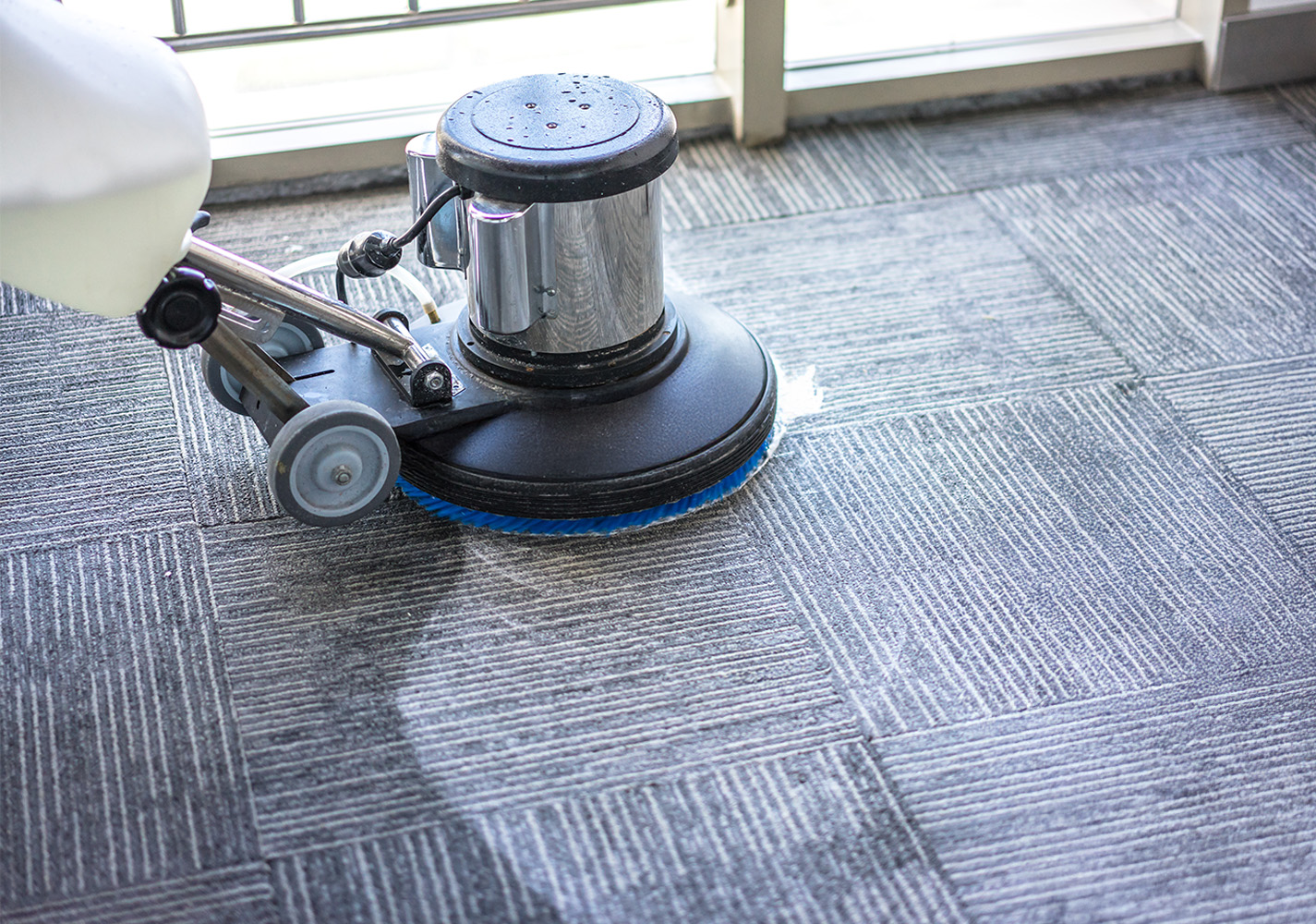 大規模なカーペットクリーニングのイメージ