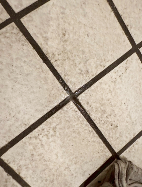 浴室床タイル補修とカビ除去｜エステサロン・シャワー室のプロ施工事例のイメージ