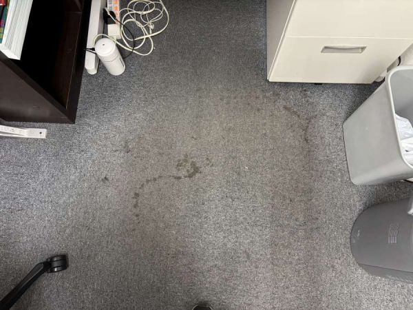 法律事務所のカーペット洗浄事例のイメージ