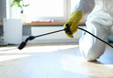 作業実施のイメージ