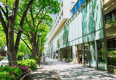 敷地内の植栽や街路樹に毛虫が発生してお困りの戸建て・マンションの方にのイメージ