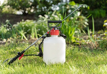 市販薬や自力対応では追いつかないほど大量発生している方にのイメージ