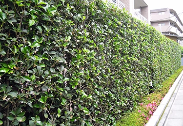 マンション共用部のイメージ