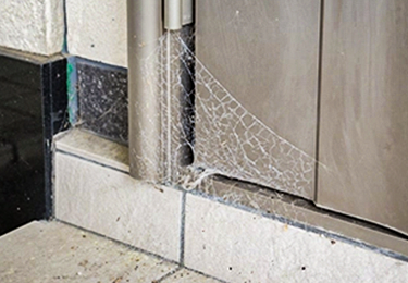 毎日清掃しても、同じ場所にクモの巣ができるとお悩みの管理者のイメージ