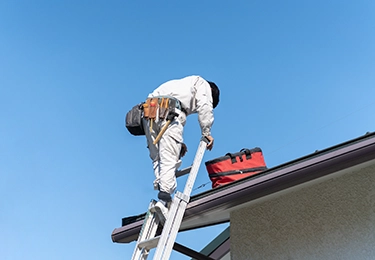 高所や複雑な構造で、清掃が難しい場所にクモの巣ができる方にのイメージ