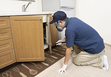 ゴキブリ駆除の費用対効果を重視したい方にイメージ