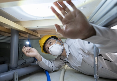 再発防止を重視し、ベイト＋バリアの併用で徹底防除イメージ