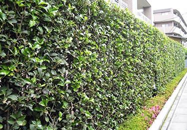 マンション共用部に蜂が集まって困っているイメージ