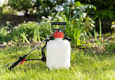 施設敷地内での定期的な蜂の発生に悩んでいるイメージ