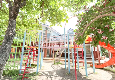 保育園の敷地内の木に巣発見（緊急対応）イメージ