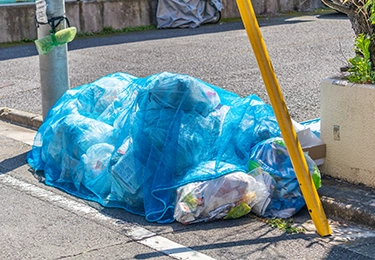 ゴミ置き場をカラスに荒らされて困っているイメージ