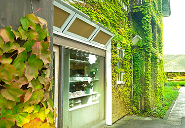 飲食店舗(路面店)のイメージ