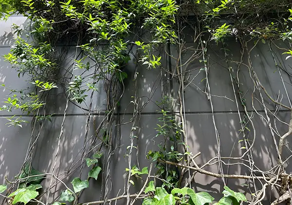 オフィスビルのイメージ