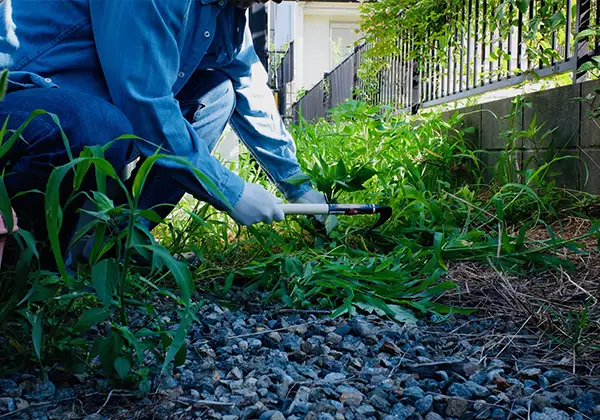 草刈り（草刈機／手作業）のイメージ