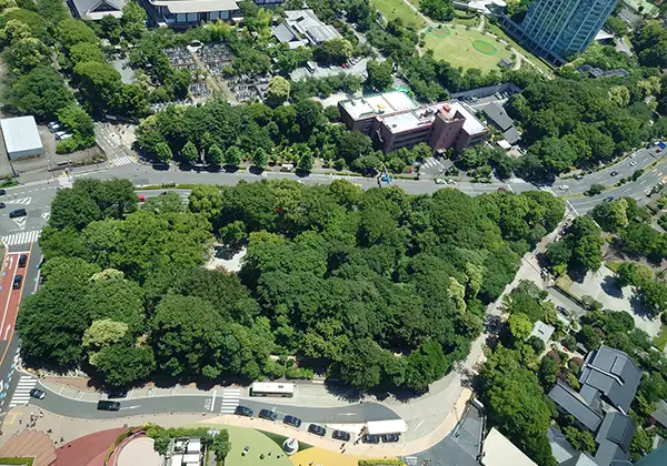 商業施設の周りの草むらのイメージ