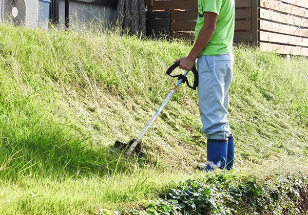 斜面の草刈りのイメージ