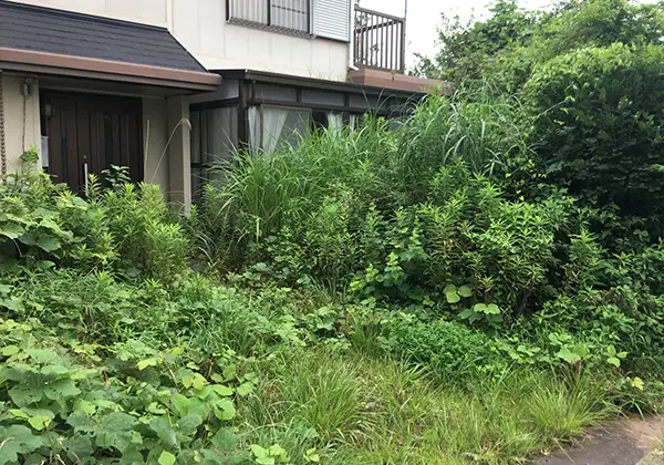 草だらけの路地のイメージ