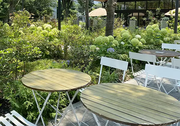 テラスのある飲食店のイメージ