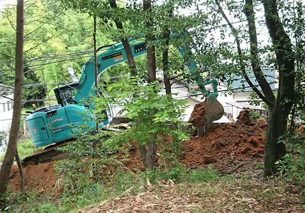 庭木の伐採・抜根のイメージ