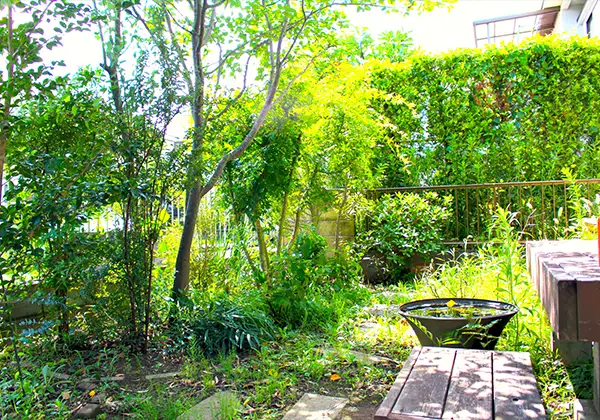 庭木に困っているイメージ