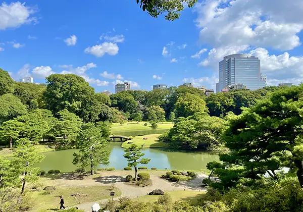 きれいな庭のイメージ
