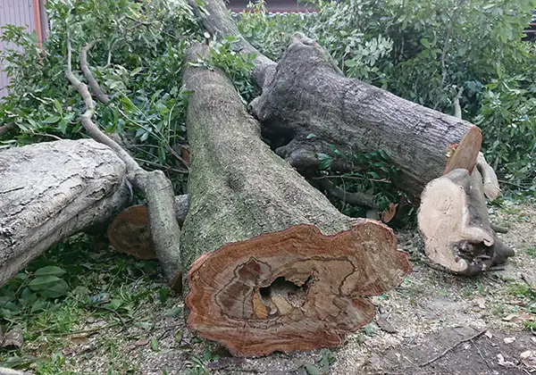 安全な作業のイメージ