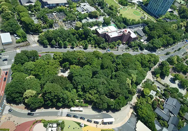 オフィスの庭のイメージ