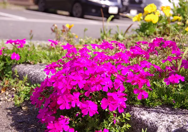 病院の駐車場のイメージ