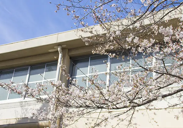 開かれた学校のイメージ