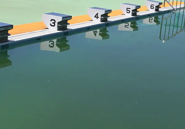 汚れたプールのイメージ