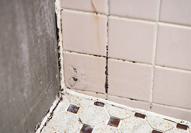 タイルが剥がれたり、ヒビが入ってきた方のイメージ