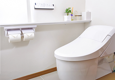 マンション（便器のみ交換）のイメージ