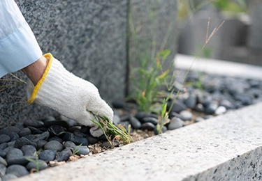 複数箇所のお墓のイメージ