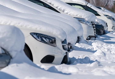 レビューのイメージ