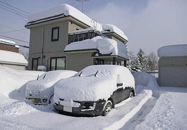 高齢の親御さん宅（日用品＋お薬購入）のイメージ