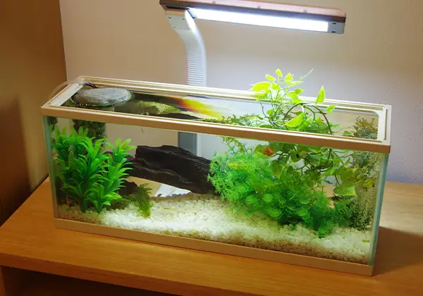 待合室の水槽のイメージ