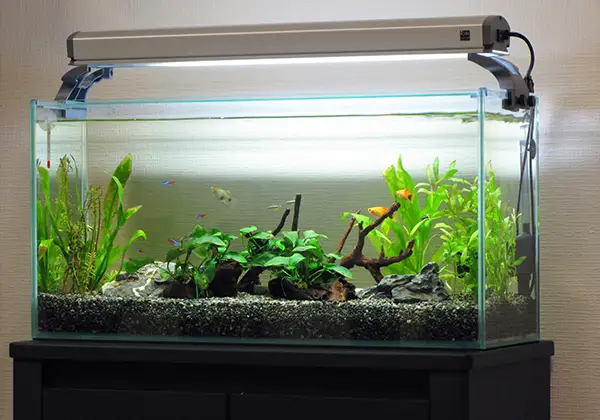 ビューティーサロンのイメージ