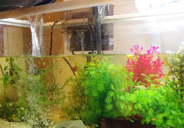 水槽の掃除のイメージ