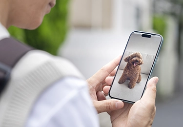 ペットのイメージ