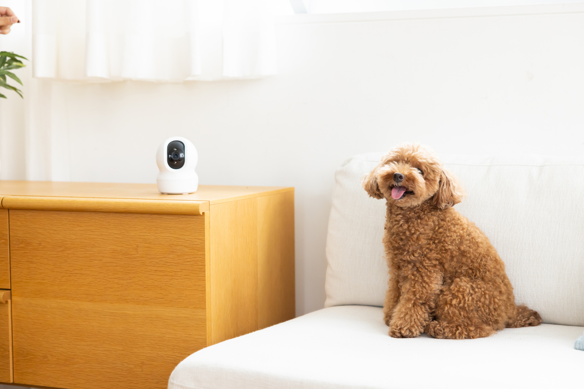 マンションのイメージ