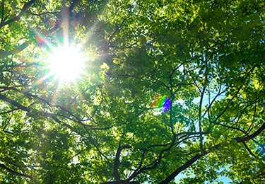 施設・教育現場などで安全に設置したいイメージ