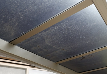 台風や黄砂後にしっかり洗いたいのイメージ