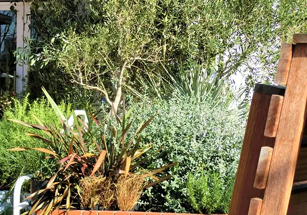 小規模オフィスの花壇のイメージ