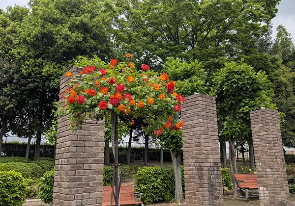 オフィスエントランス(20名規模の事務所)のイメージ