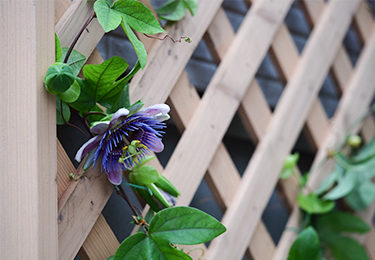 マンション共用部(ゴミ置き場囲い)のイメージ