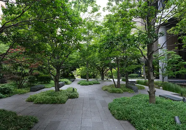 オフィスビルの芝生のイメージ