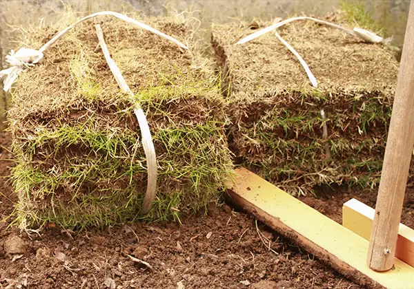 芝張り作業のイメージ