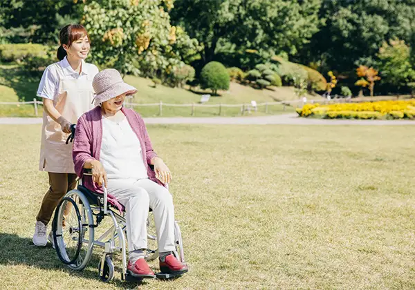 庭の芝生のイメージ