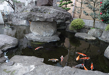 池の濁りや臭いが気になってきた方のイメージ"