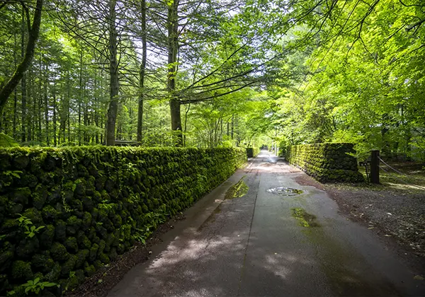 別荘のイメージ